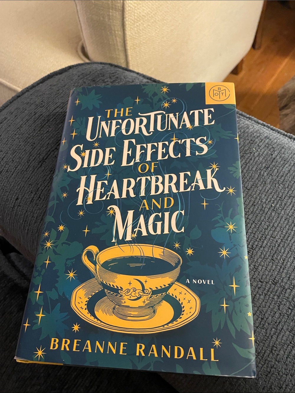 Book: The Unfortunate Side Effects of Heartbreak and Magic